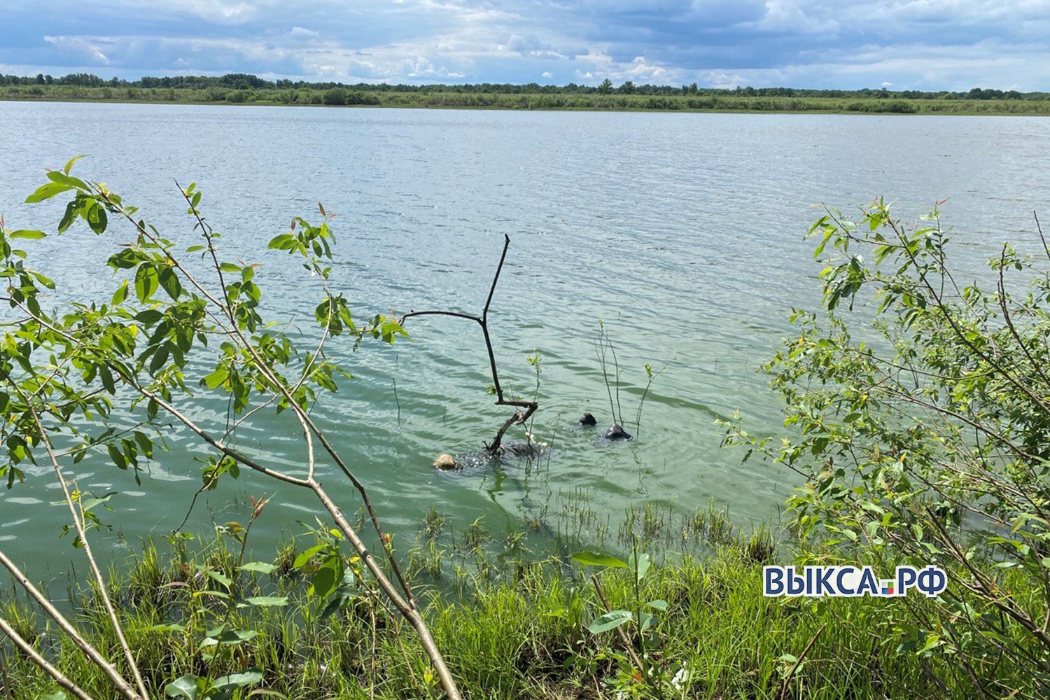 Тело рыбака нашли на озере Чёрный Яр